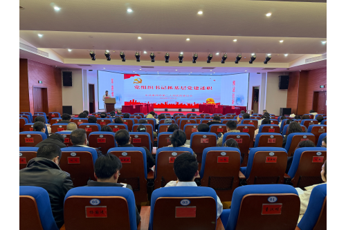 20260129党组织书记抓基层党建述职_副本.png 20260129党组织书记抓基层党建述职_副本.png